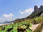 通天寨 石城