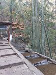 通天岩 风景