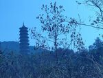 塔 杨仙岭