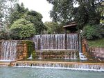 泥巴坨森林公园