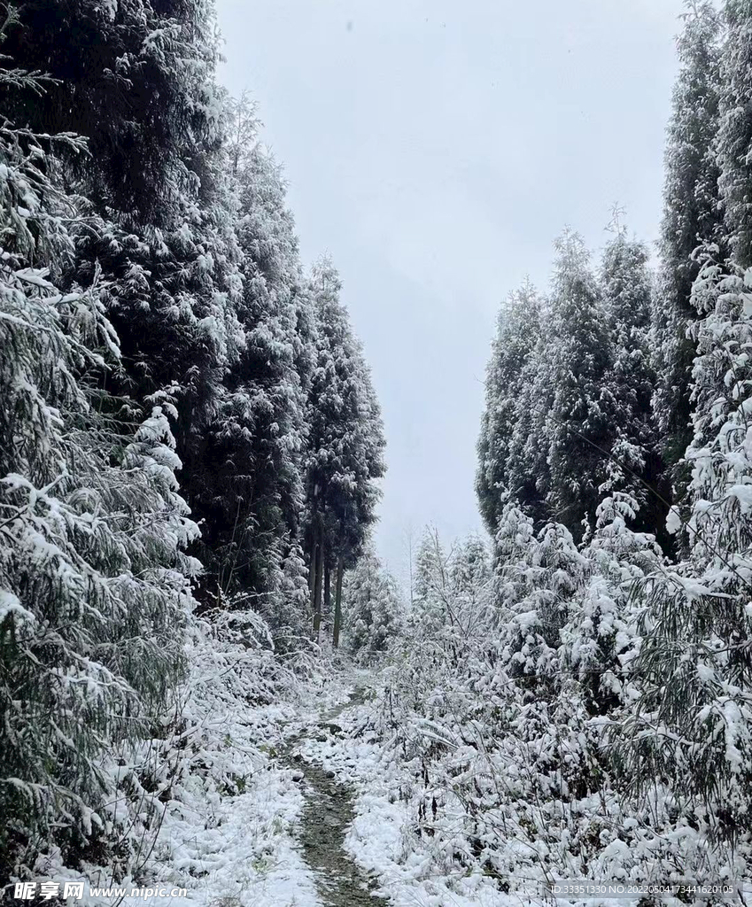 西昌木里县