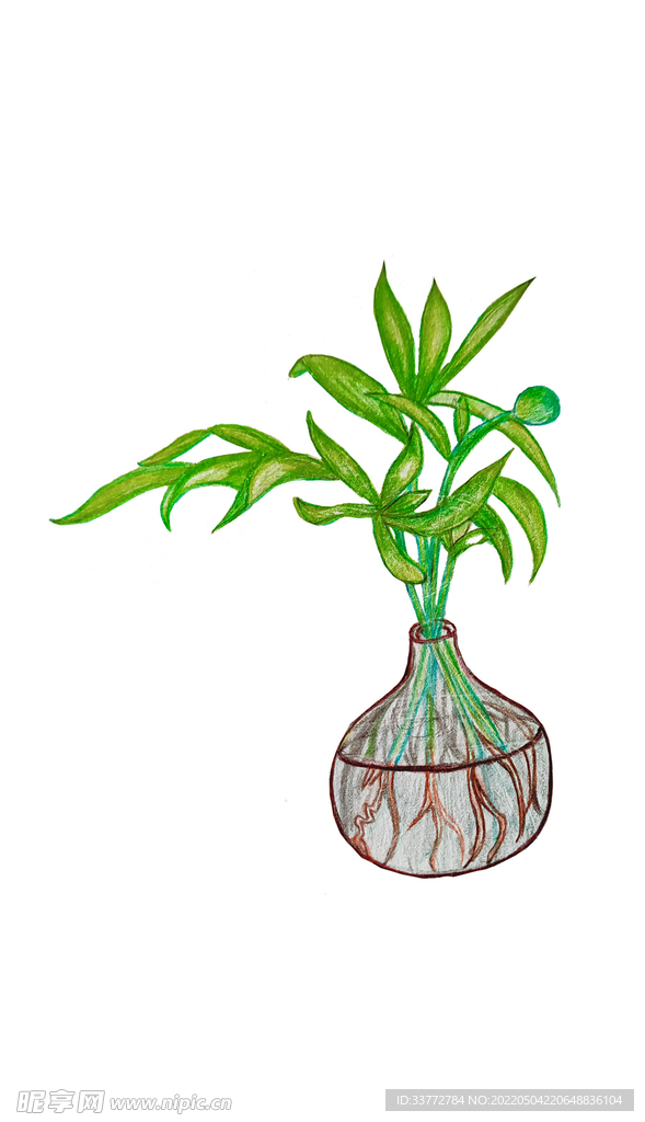 创意花瓶绿植元素简约手绘手