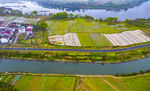 仙女湖油菜基地