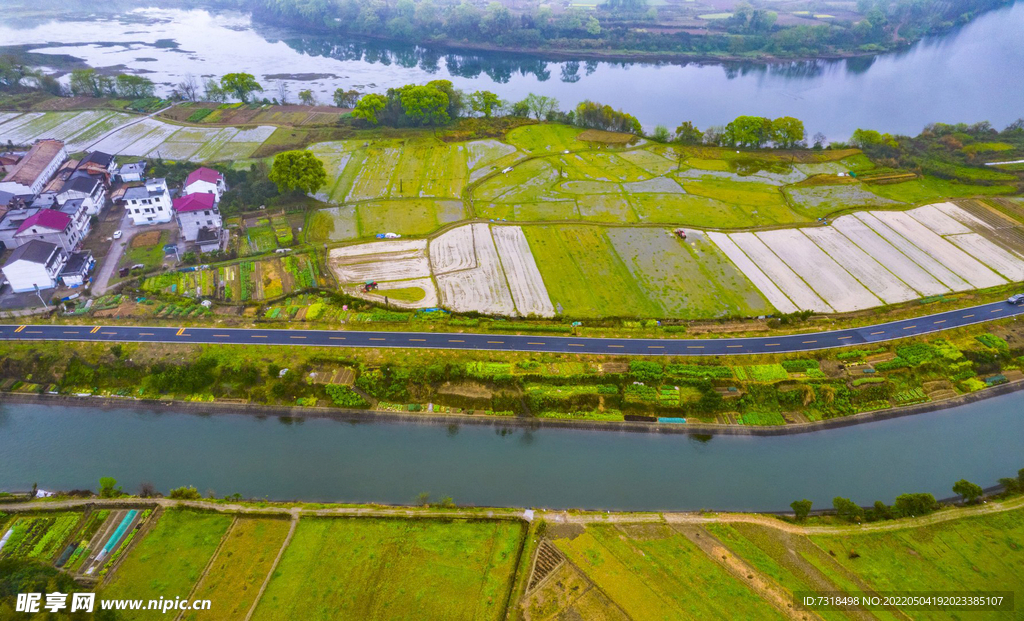 仙女湖油菜基地