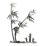 水墨竹子插画