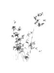 竹子水墨国画