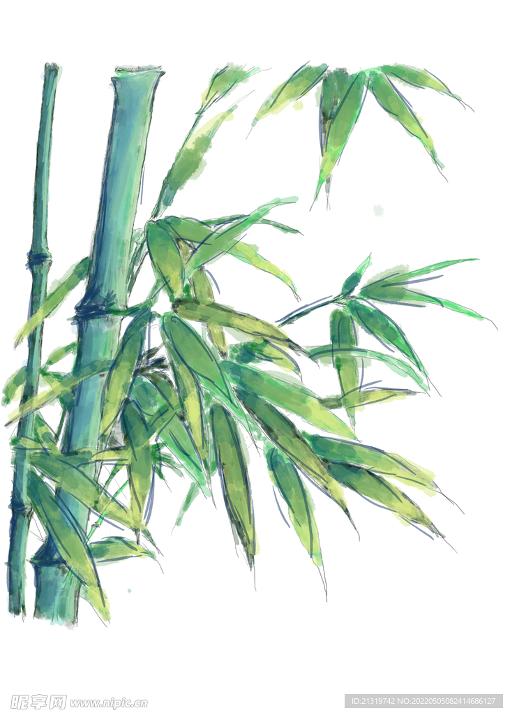 竹子手绘素材
