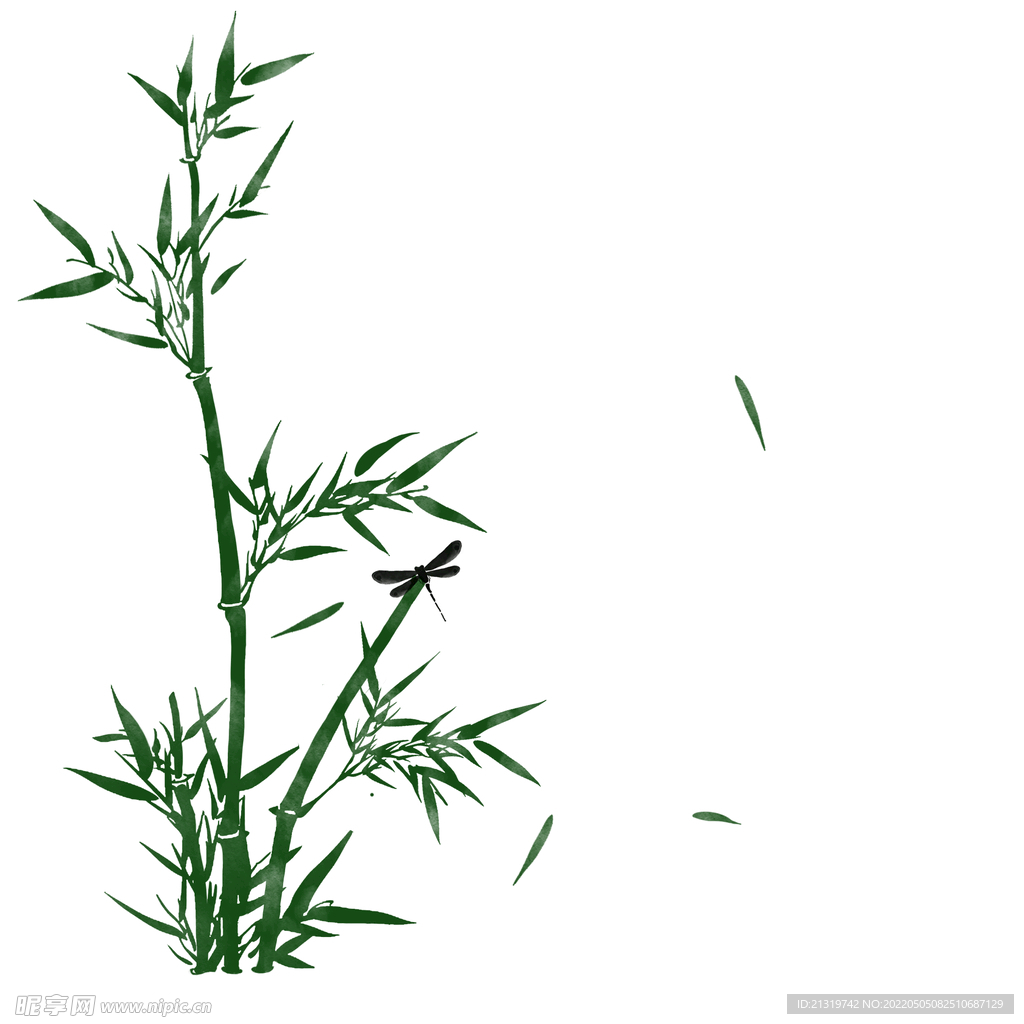 竹子插画