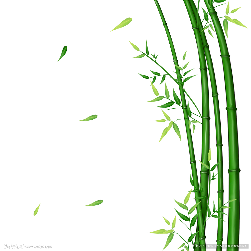 手绘竹子插画