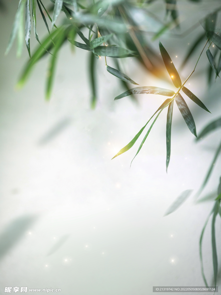竹子背景素材