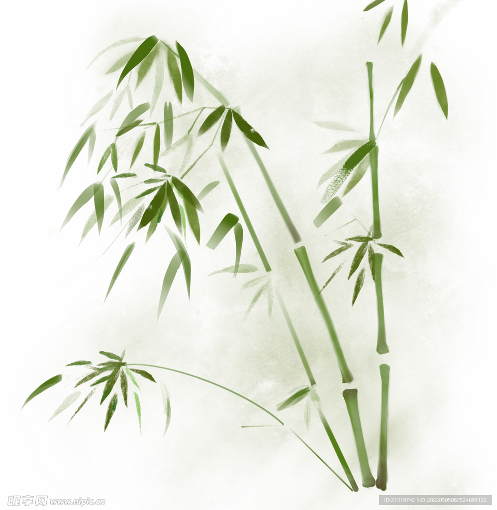 竹子素材插画