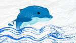 海豚插画素材