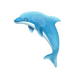 海豚插画