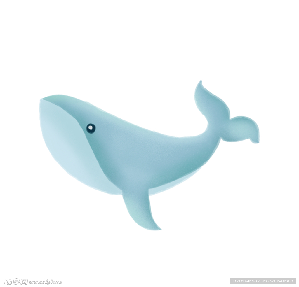 海豚手绘插画