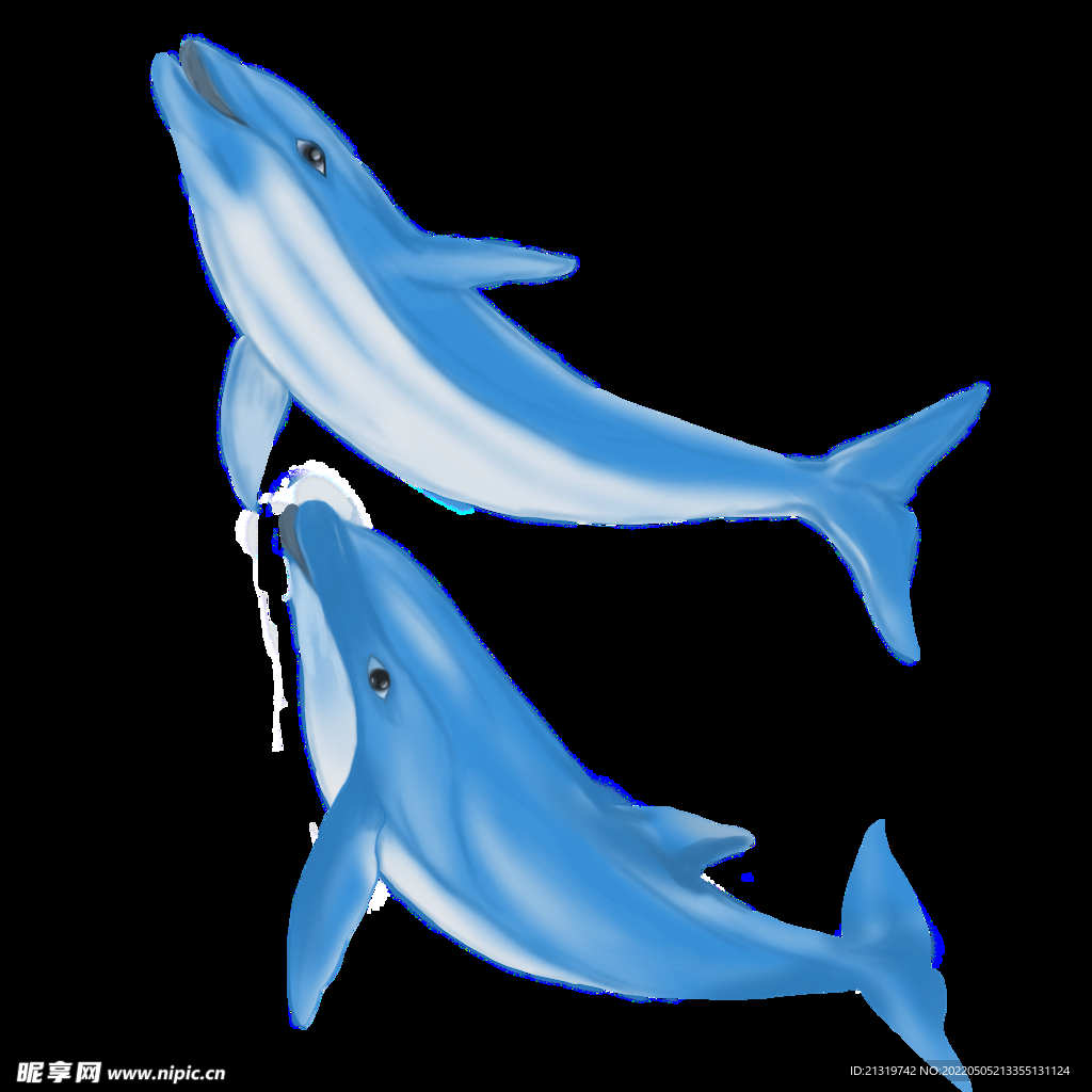 海豚手绘插画
