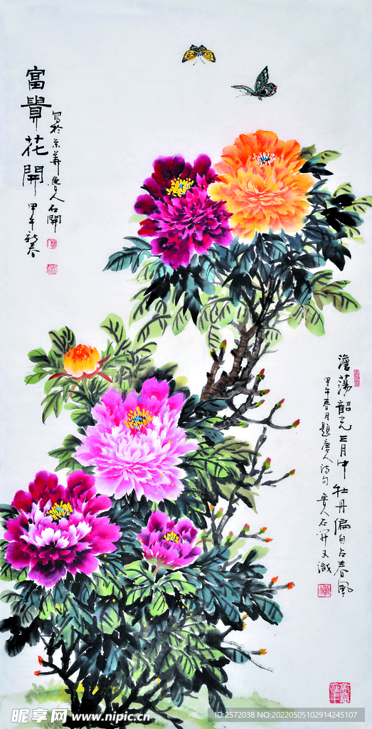 富贵花开