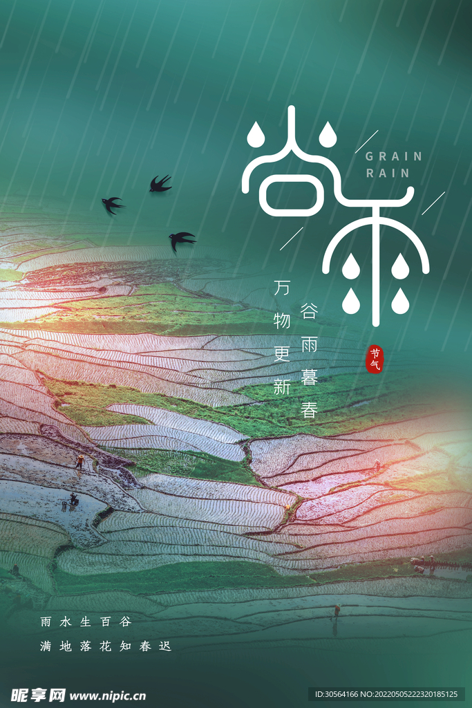 谷雨