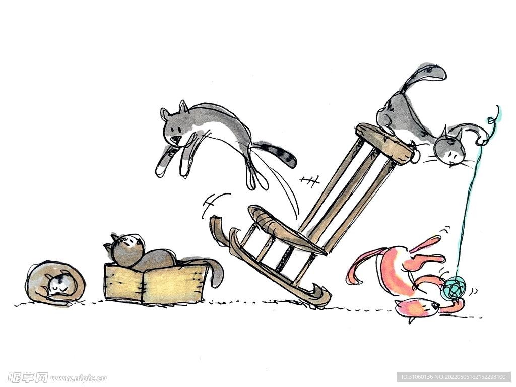猫