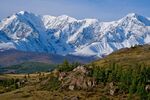 山