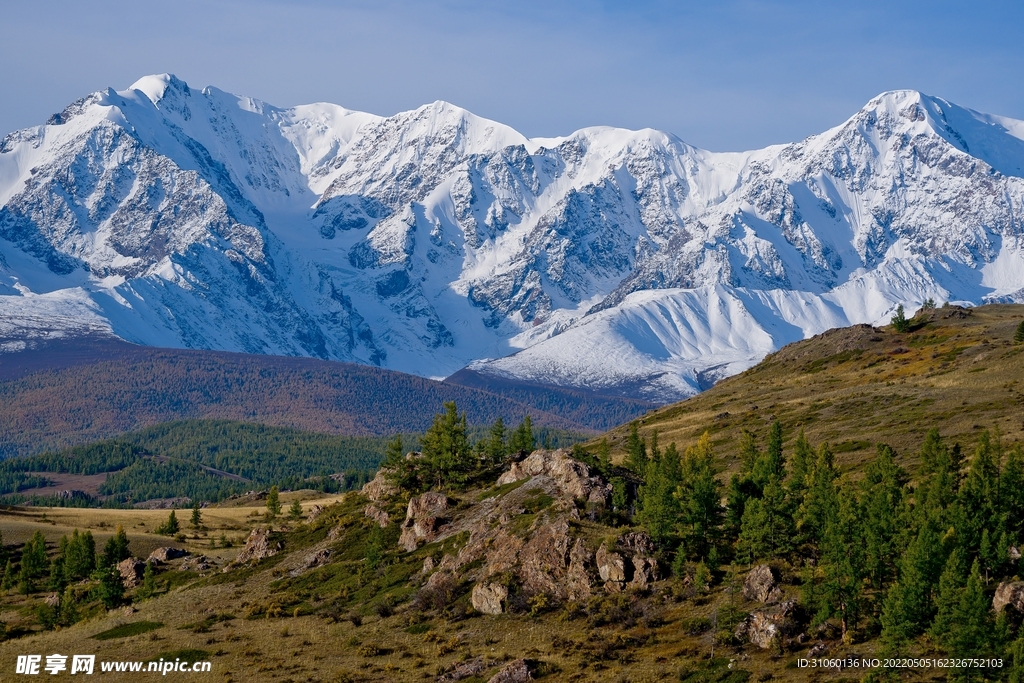 山