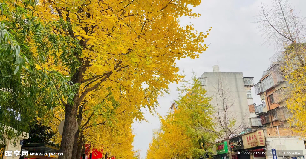 道路 