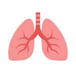 肺部简笔卡通图