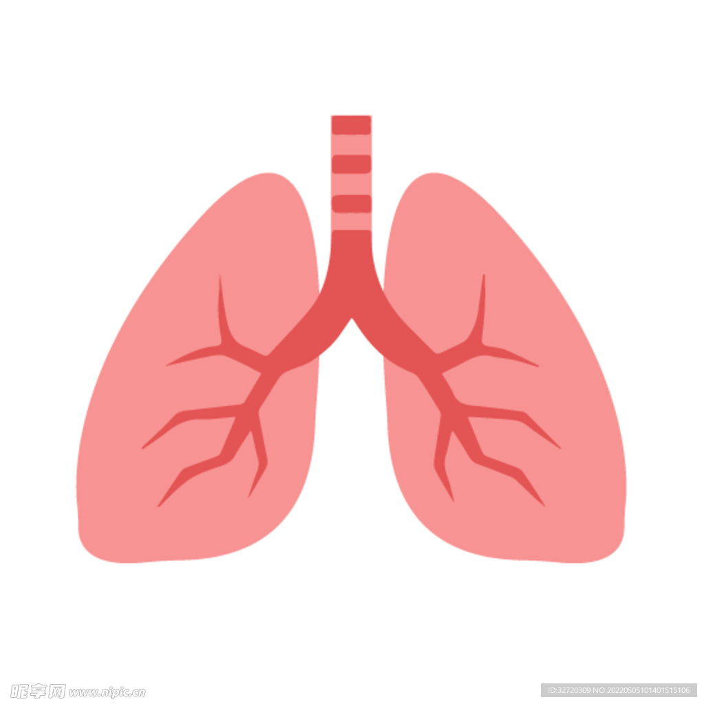 肺部简笔卡通图