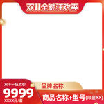 双11活动产品框