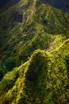 山