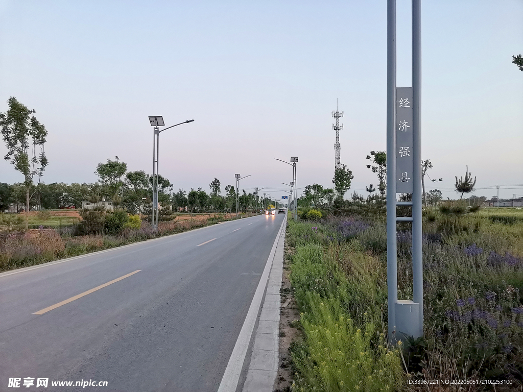 道路绿化