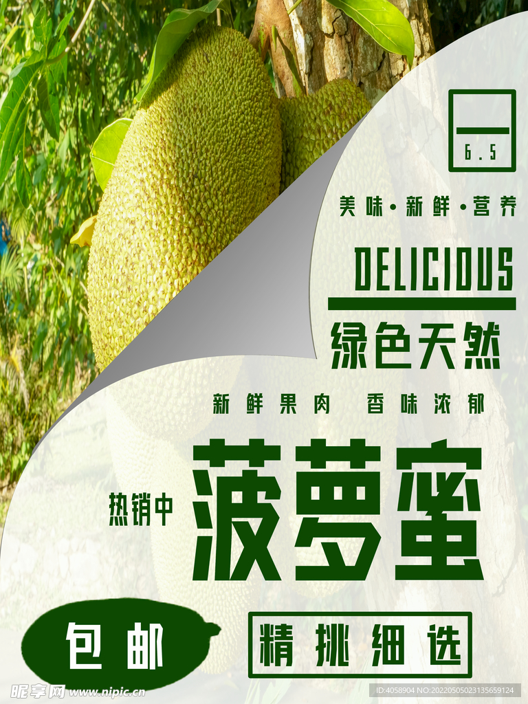 菠萝蜜
