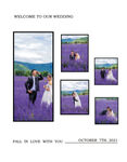 婚礼照片墙喷绘婚礼海报