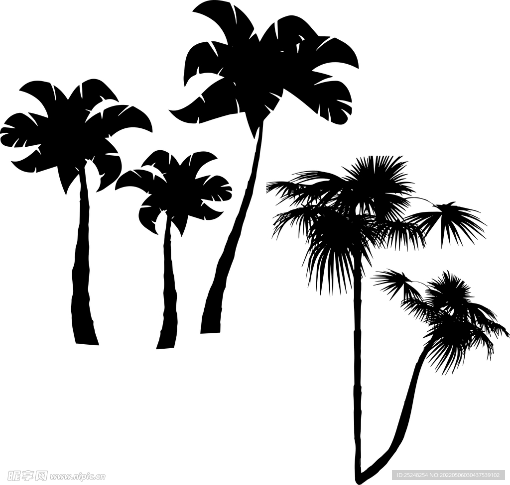  椰子树剪影