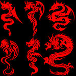 龙
