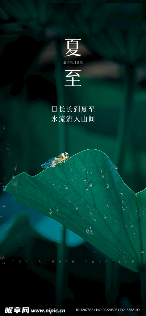 荷叶夏至节气