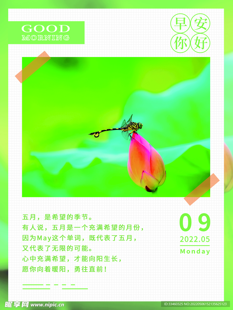 早安你好