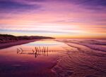 夕阳