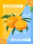橙子