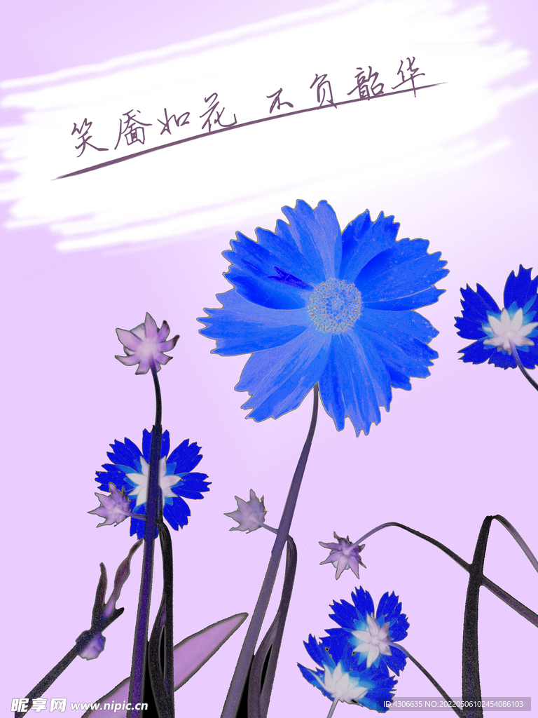 花朵蓝色花朵
