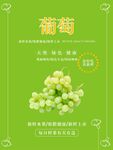 葡萄海报