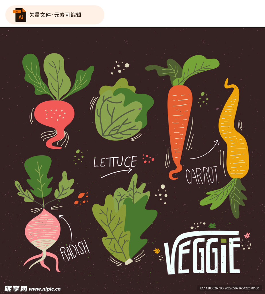 萝卜蔬菜设计矢量图