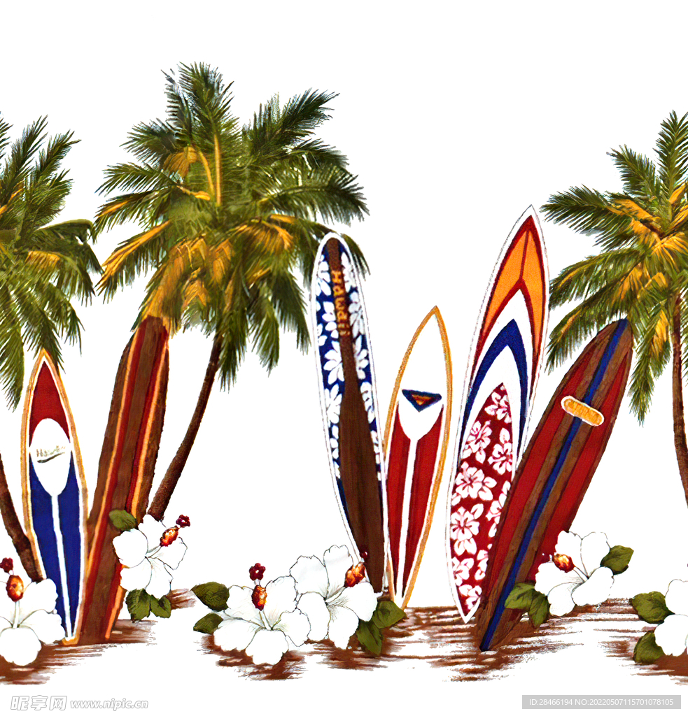 椰子树滑板