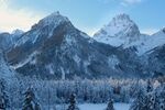 山