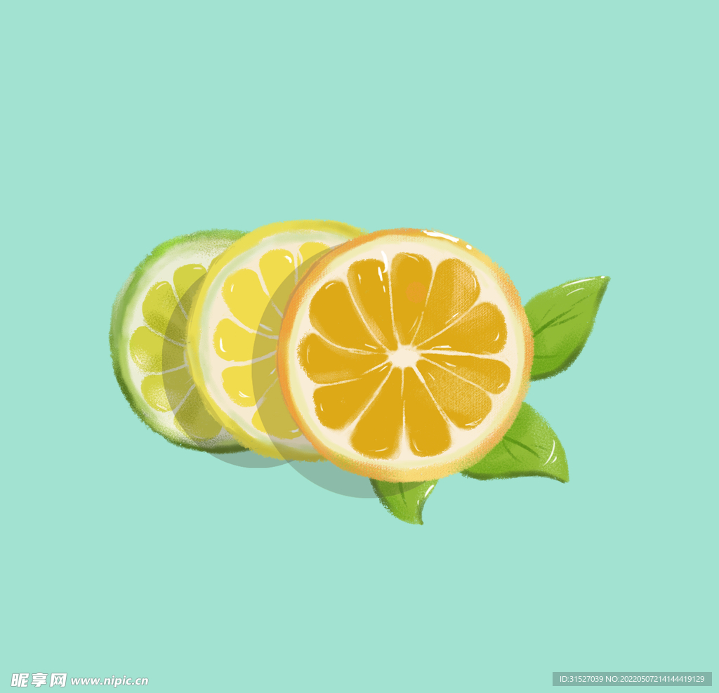 手绘柠檬片元素