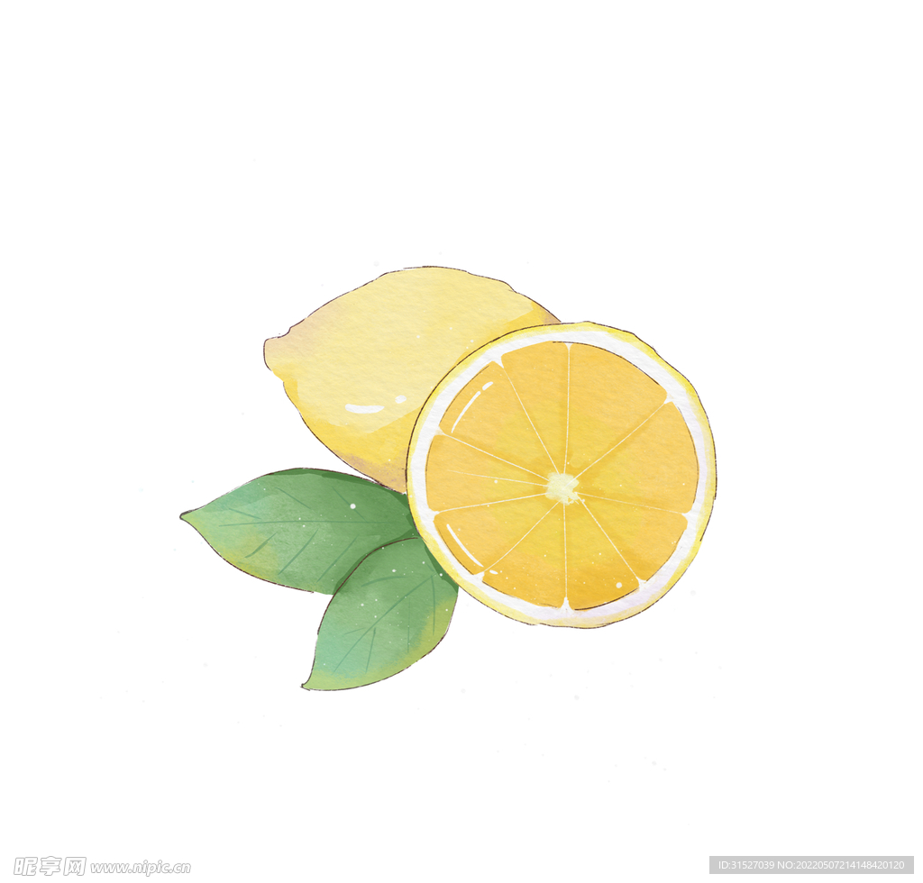 水彩绘清新柠檬插画  
