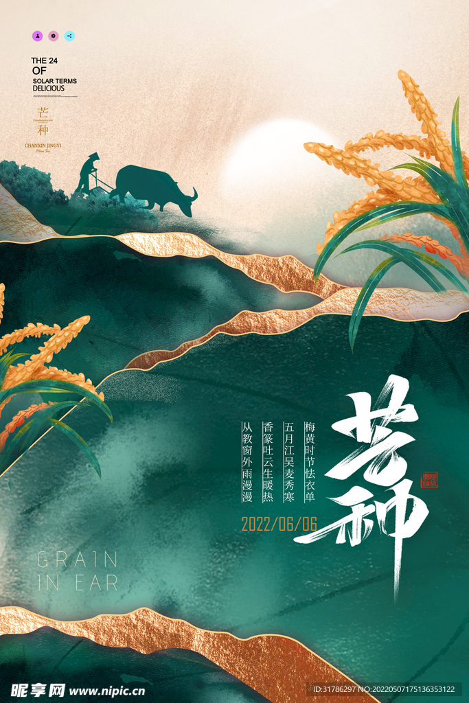 芒种