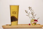 翠绿茉莉