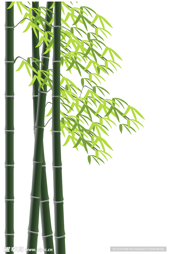 竹子