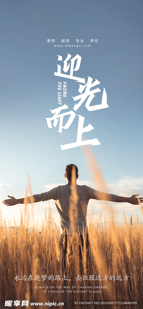 向上