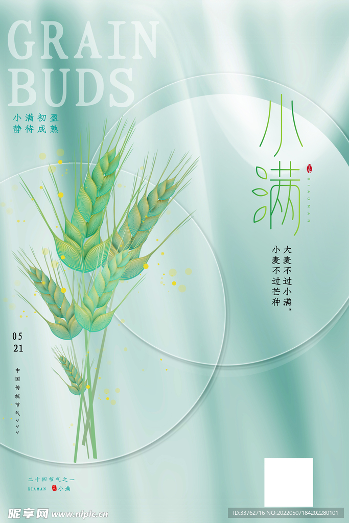 十四节气 小满